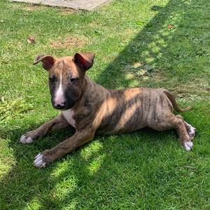 Meet your Posher, Bronwynn